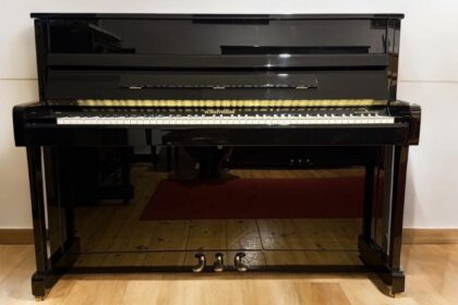 W-Hoffmann-Klavier-gebraucht-V112-by-C-Bechstein