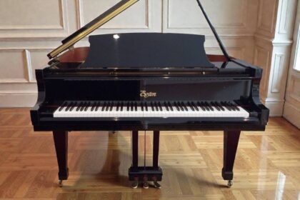 Boston-Flügel-GP-156, Schwarz-Hochglanz, gebraucht