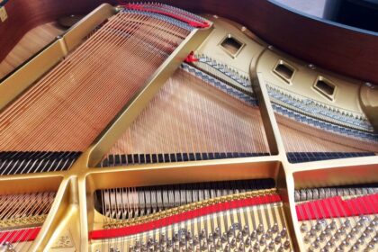 Boston-Flügel-Resonanzboden