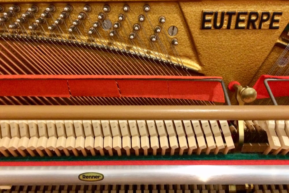 Euterpe Piano Mechanik