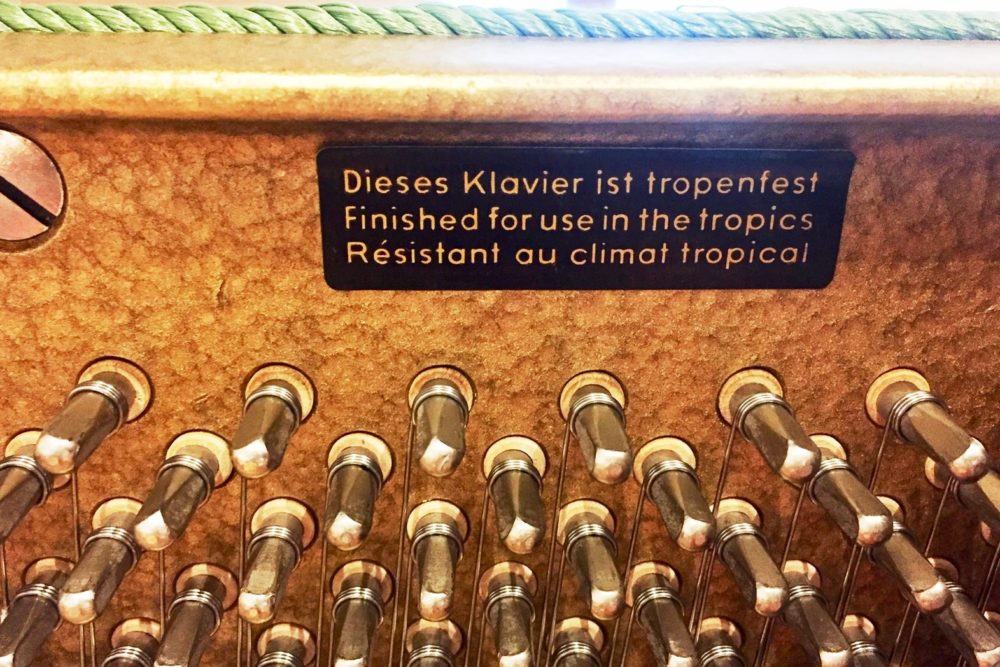 W. Hoffmann Klavier tropenfest