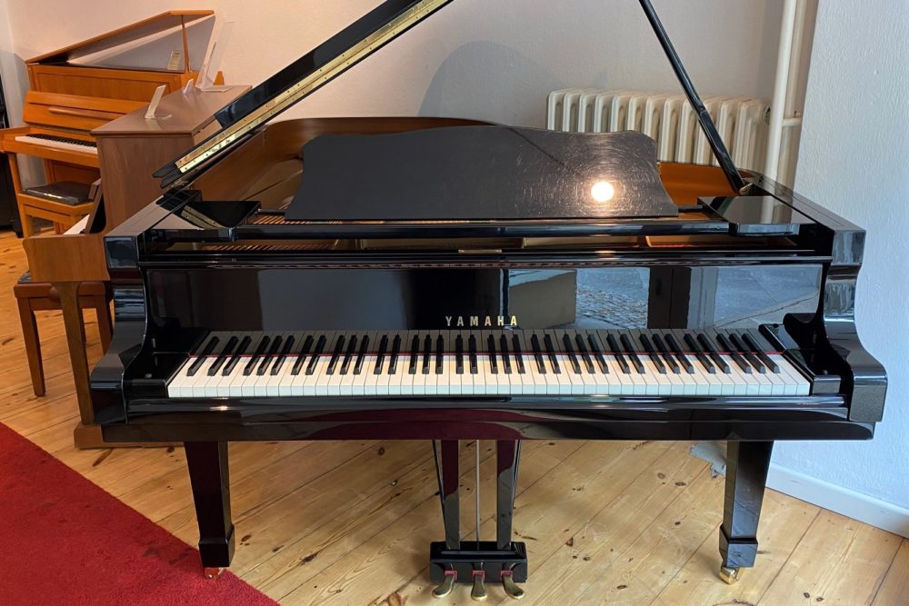 Yamaha-C6-Flügel