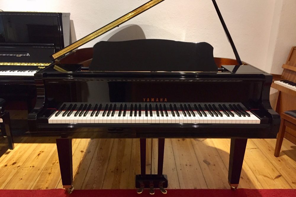 Yamaha-GB1-Fluegel