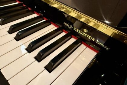 Euterpe-Klavier-EU-112-by-C.-Bechstein