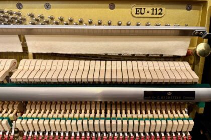 Euterpe-Klavier-EU112-in-Berlin