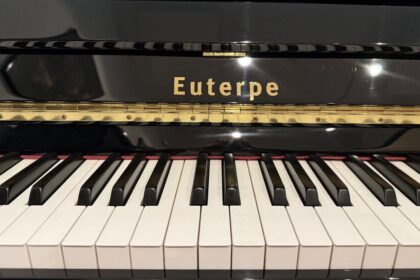 Gebrauchtes-Euterpe-Klavier-EU-112-by-C.Bechstein
