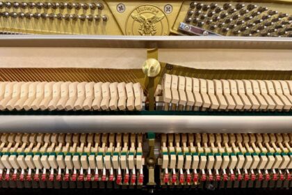 Gebrauchtes-Euterpe-Klavier-EU112-innen