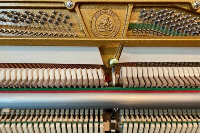 C. Bechstein-Klaviermechanik