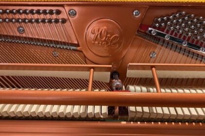 Wendl & Lung Klavierlogo, 122 Universal, Schwarz Hochglanz