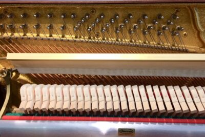 Schimmel-Klavier-Mechanik