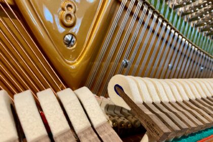 C. Bechstein Hammerköpfe