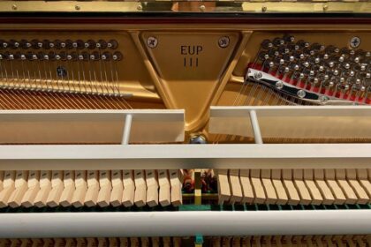 Gebrauchtes-Klavier-Essex-EUP-111E-kaufen