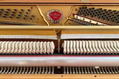 Schimmel-Klaviermechanik