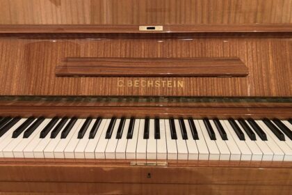 C. Bechstein-Klaviertasten